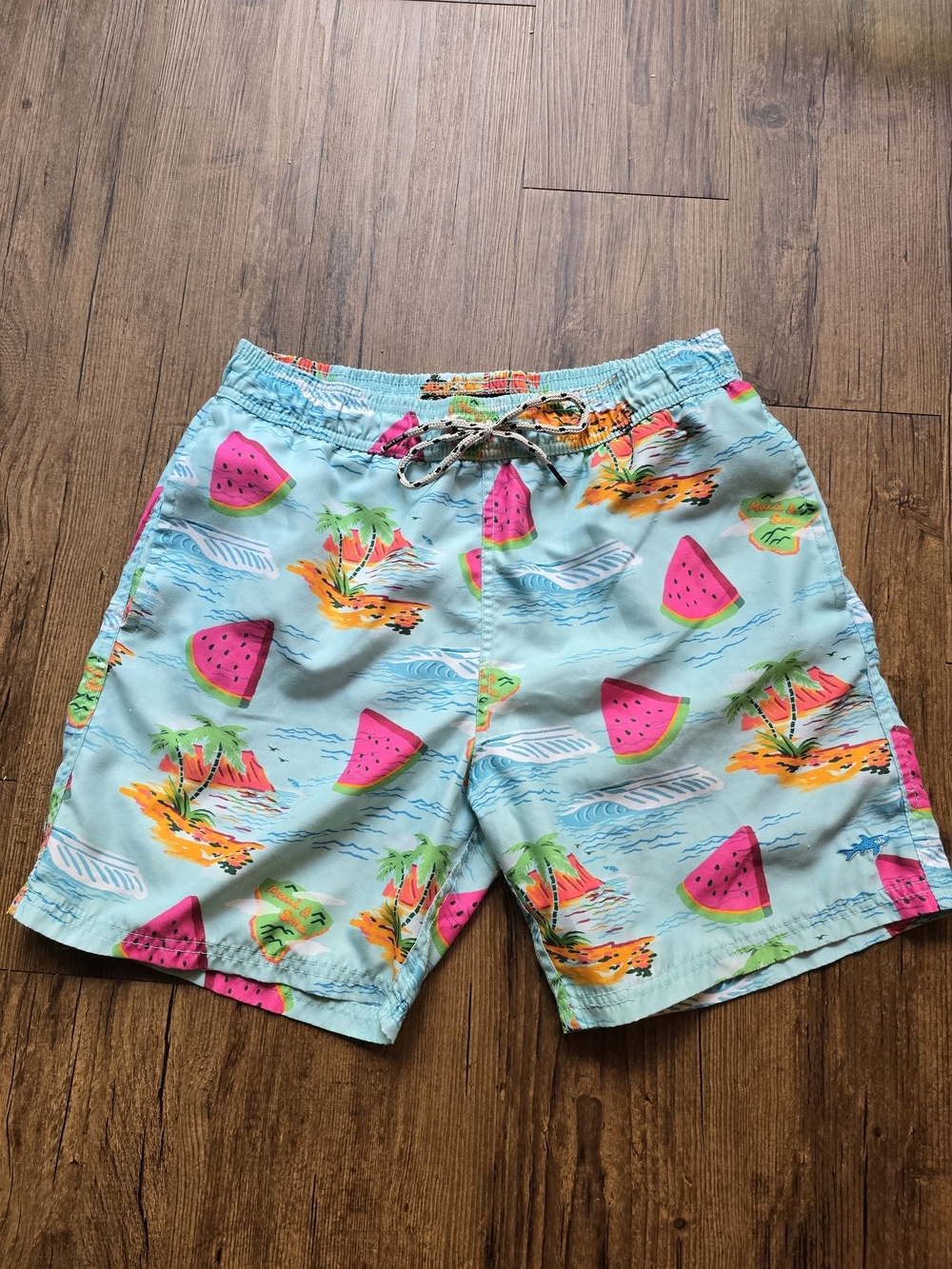Aqua Tropical Watermelon Print Mens Swim Trunks